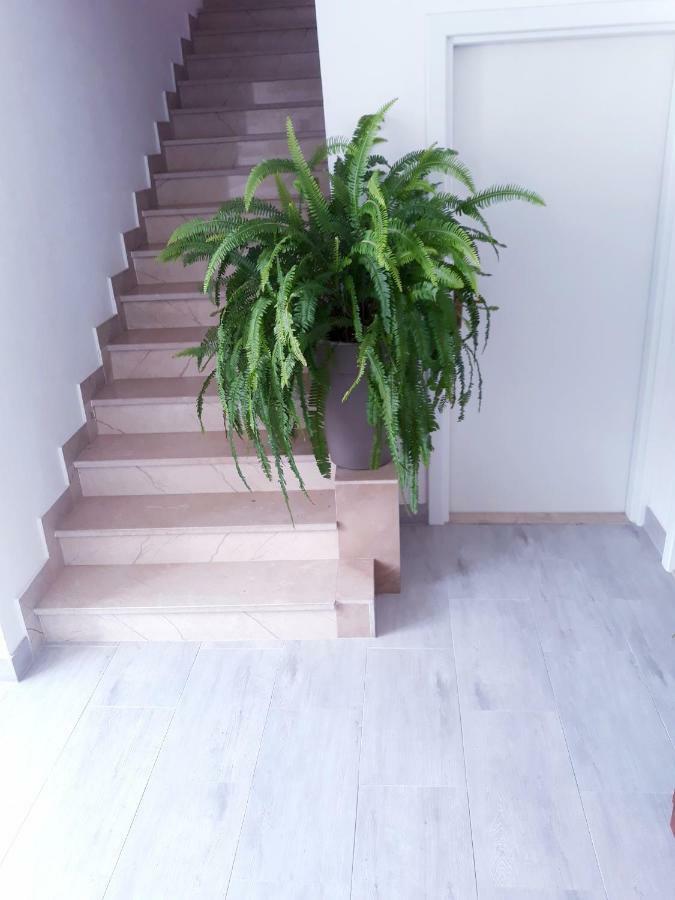 Apartmani I Soba Andrijasevic Макарска Экстерьер фото