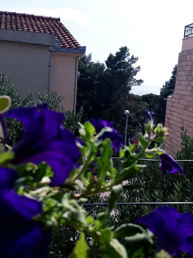 Apartmani I Soba Andrijasevic Макарска Экстерьер фото